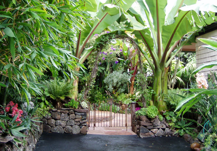 tropical garden