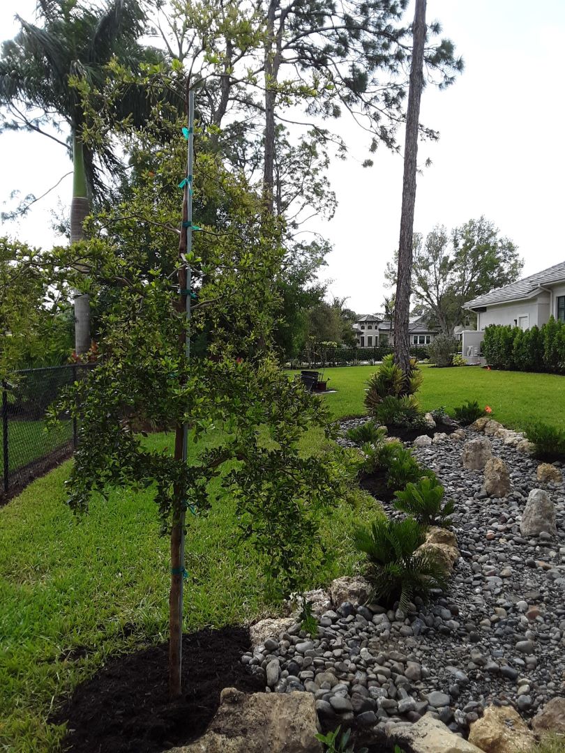Flowing River Zen Garden