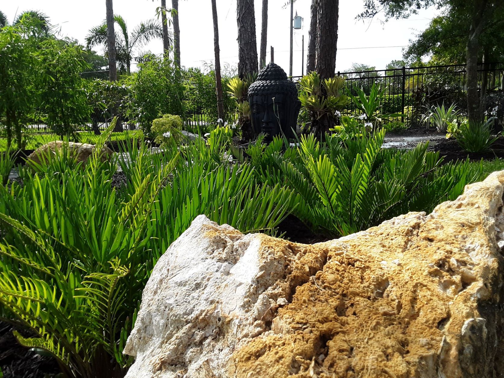 Japanese Strolling Garden 3