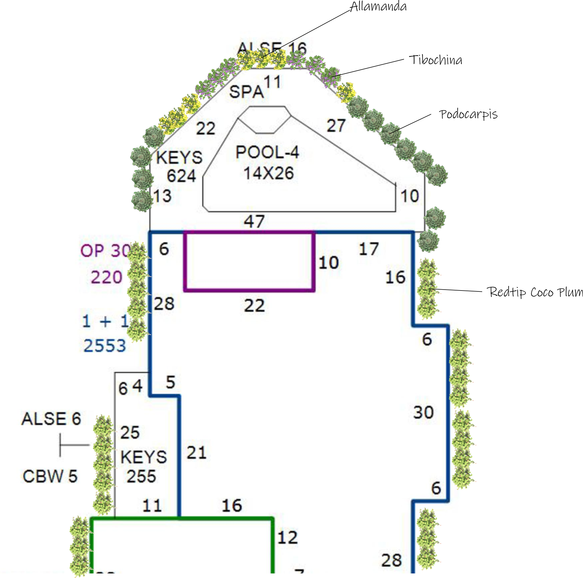 787 Province Town backyard
