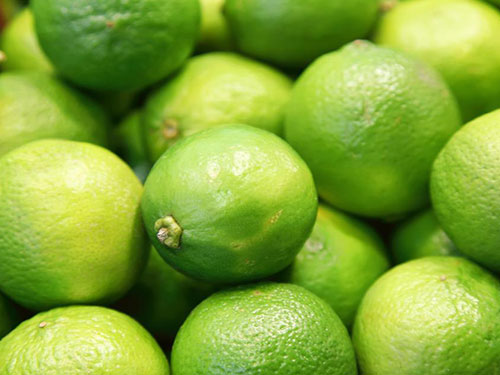 Persian Lime Tree