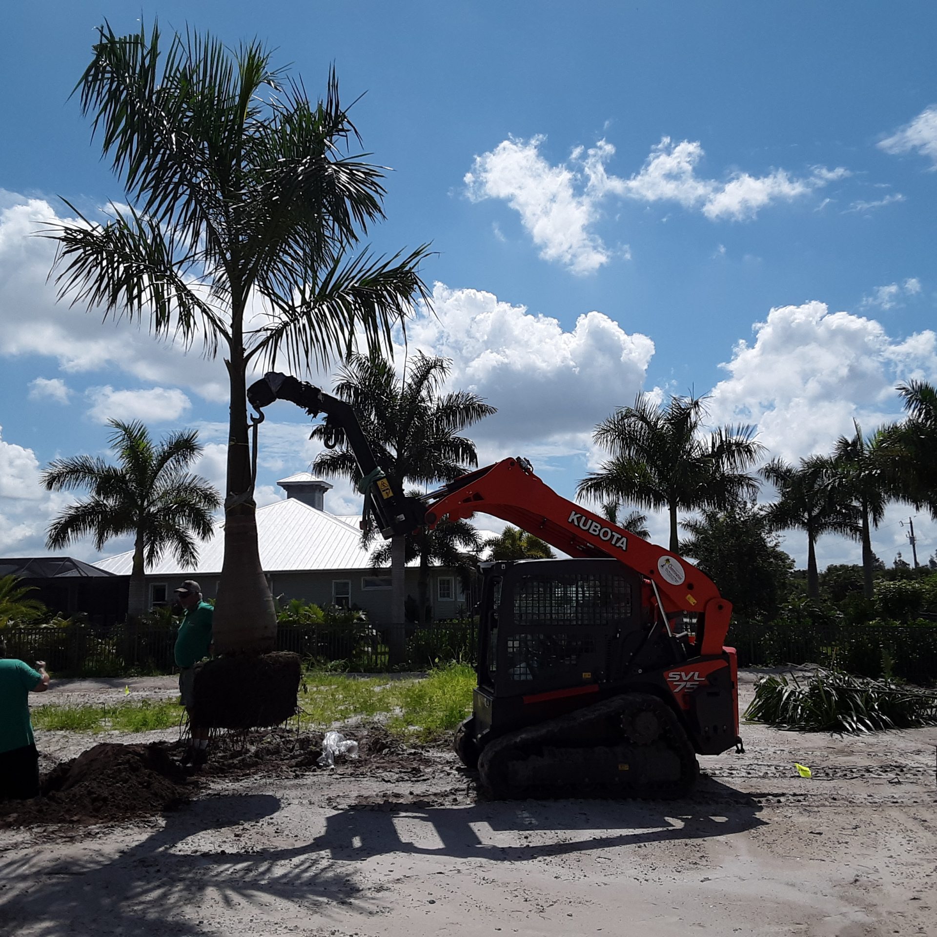 Tree Planting Service