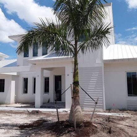 Royal Palm 20 ft. Install Price