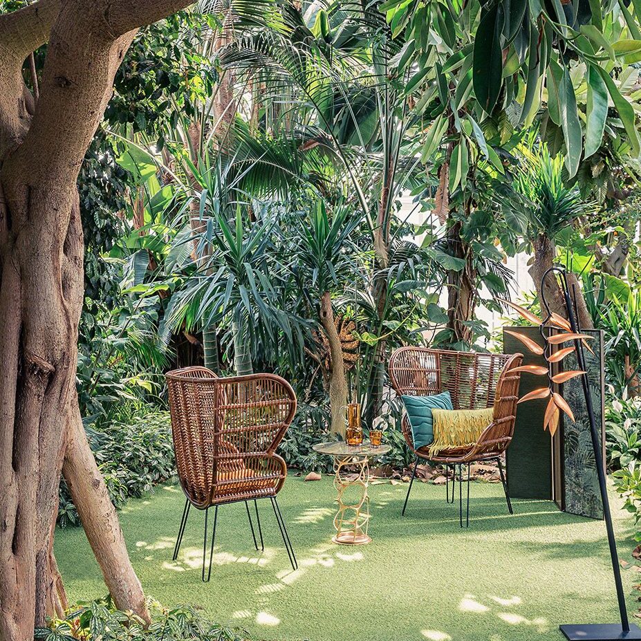 tropical garden design