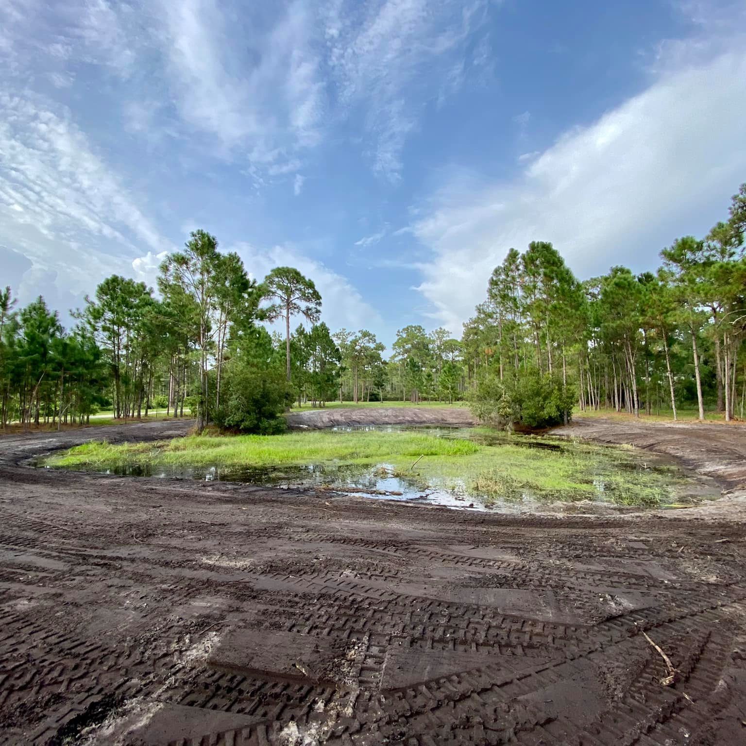 naples grading bobcat service