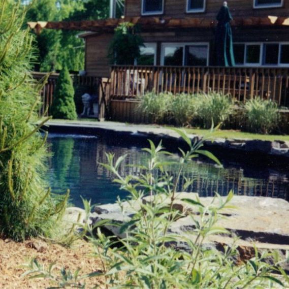 pool-side-landscaping-1024x569