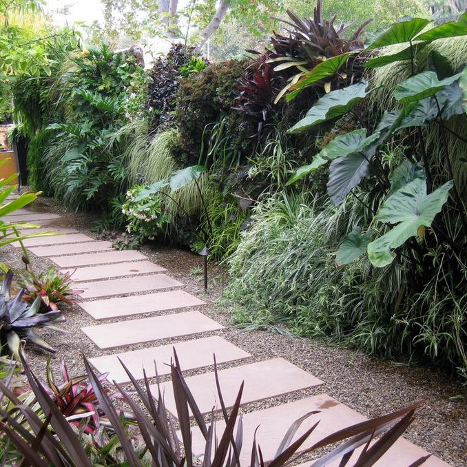 tropical planting